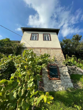 Ferienhaus Traminer im Weinberg